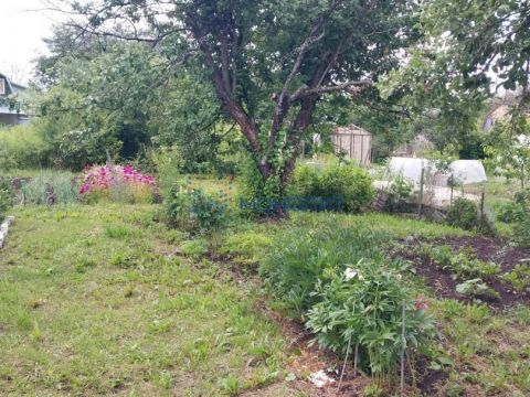 dacha-selo-redkino-gorodskoy-okrug-bor фото