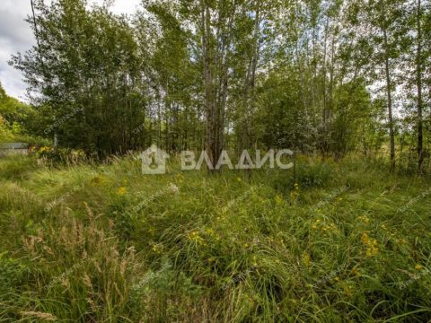 selo-spirino-bogorodskiy-municipalnyy-okrug фото