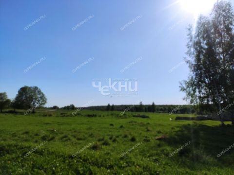 derevnya-mednikovo-gorodskoy-okrug-chkalovsk фото