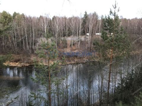 2-komnatnaya-derevnya-varvarskoe-gorodeckiy-rayon фото