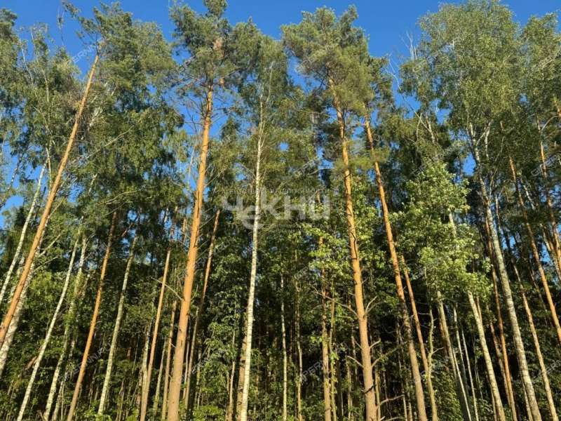 дом на  ТСН Чистые ключи