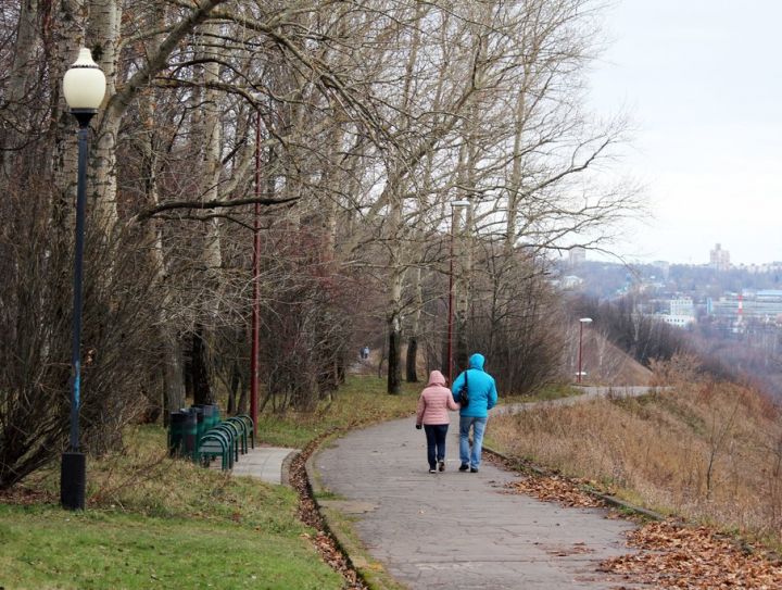 Нижегородцы предрекают застройку 25% парка «Швейцария»