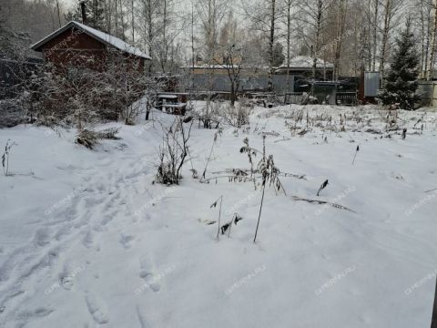 dacha-snt-n6-berezka-balahninskiy-municipalnyy-okrug фото