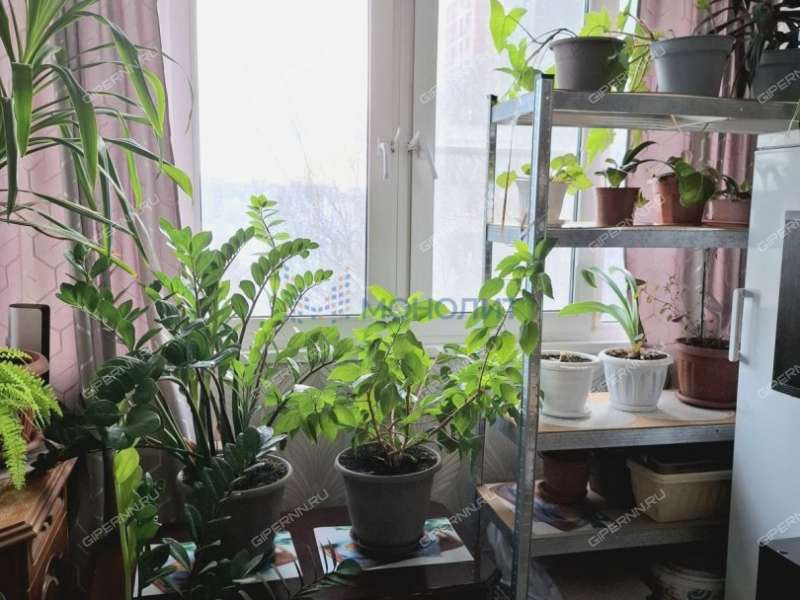 трёхкомнатная квартира на улице Бринского дом 4 к2