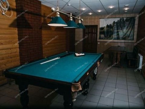 derevnya-rozhnovo-gorodskoy-okrug-bor фото