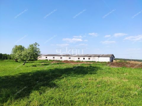 derevnya-mednikovo-gorodskoy-okrug-chkalovsk фото