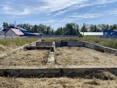 selo-kamenki-bogorodskiy-municipalnyy-okrug фото