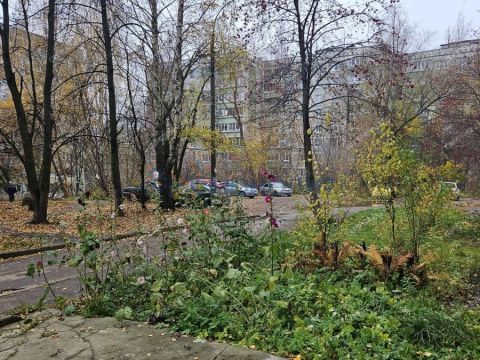 1-komnatnaya-ul-germana-lopatina-d-9a фото