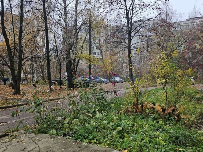 однокомнатная квартира на улице Германа Лопатина дом 9А