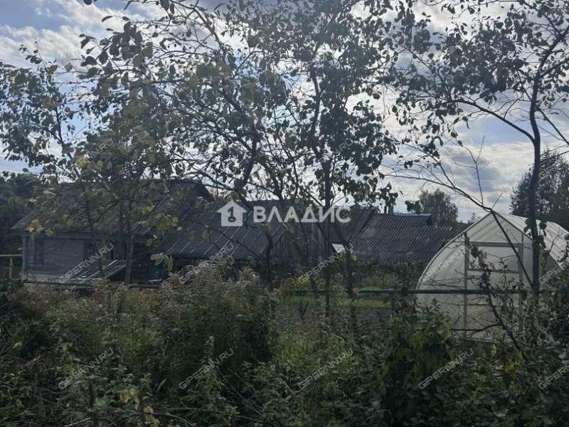 дом на Центральной улице село Доскино