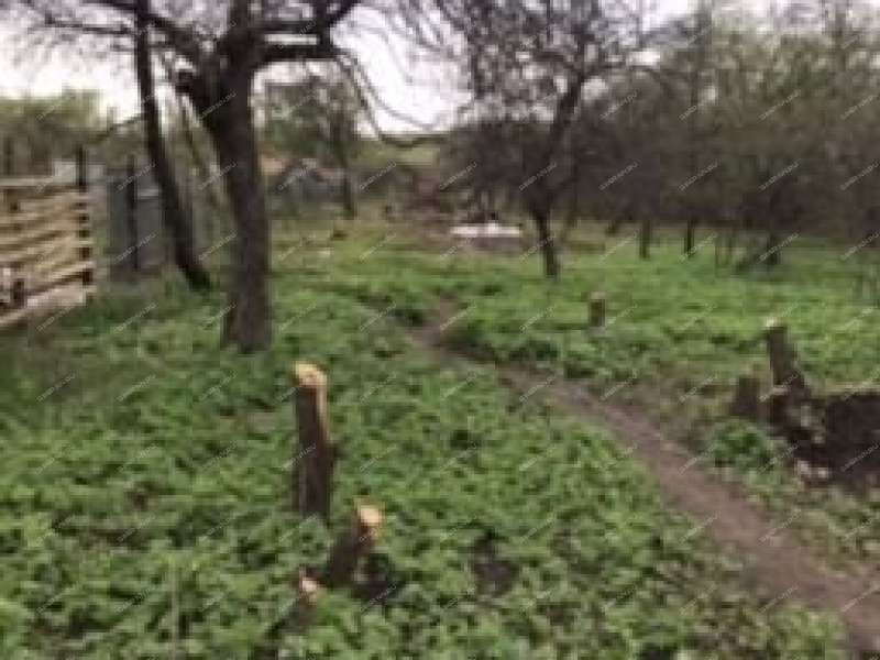 земельный участок 26 соток Новая ул