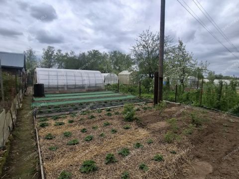 3-komnatnaya-selo-chernuha-kstovskiy-rayon фото