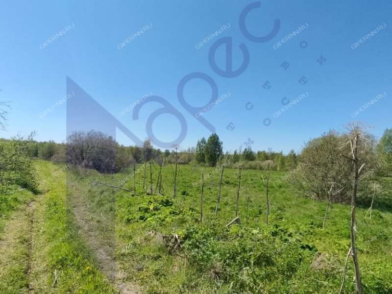 земельный участок под коммерческое использование в городском округе Сокольский Нижегородской области