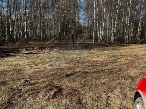 derevnya-lomki-gorodeckiy-rayon фото