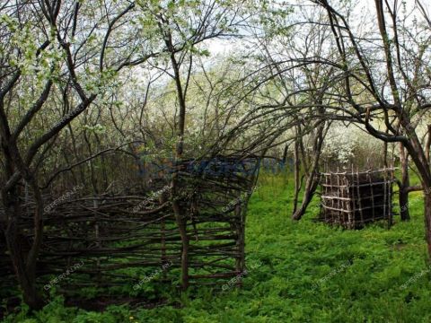 derevnya-kishkino-pavlovskiy-municipalnyy-okrug фото