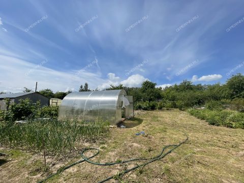 dacha-druzhba-86-snt-kstovskiy-rayon фото