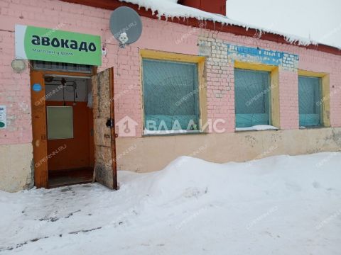 selo-shapkino-bogorodskiy-municipalnyy-okrug фото