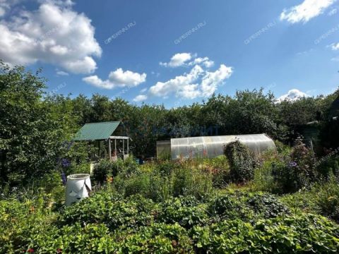 dacha-snt-druzhba-snt-druzhba фото