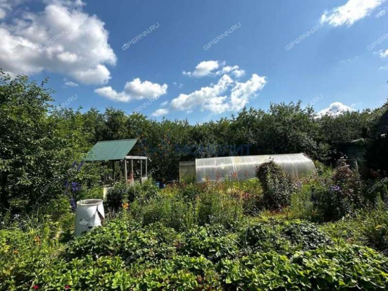 дача на СНТ Дружба