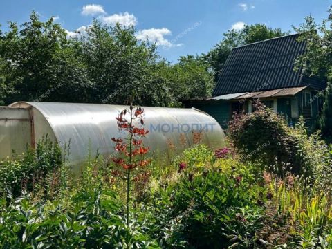 dacha-snt-druzhba-snt-druzhba фото