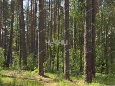 derevnya-lindo-usad-gorodskoy-okrug-bor фото