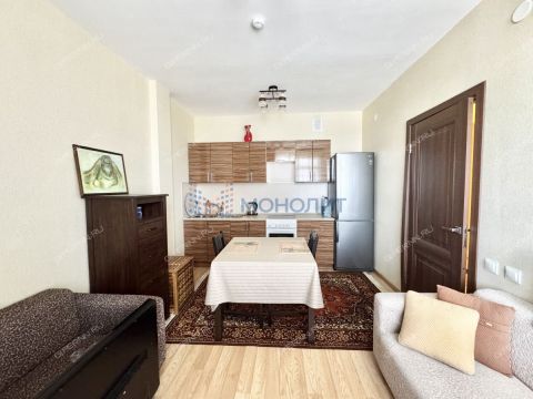 1-komnatnaya-derevnya-ankudinovka-kstovskiy-rayon фото