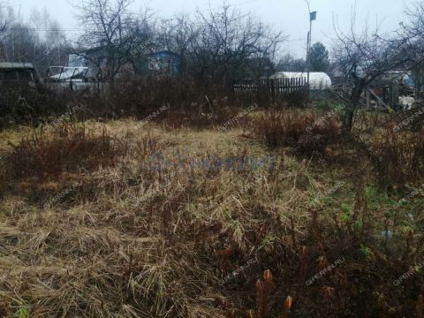 dacha-gorodskoy-okrug-bor-gorodskoy-okrug-bor фото