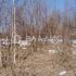 земельный участок 38 соток Лесная улица село Мотовилово
