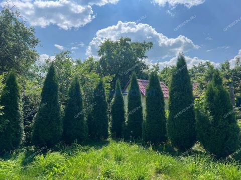 dacha фото
