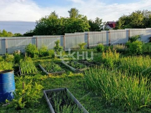 derevnya-palcino-bogorodskiy-municipalnyy-okrug фото