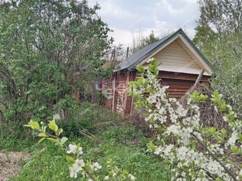 dacha-derevnya-mokeiha-gorodeckiy-rayon фото