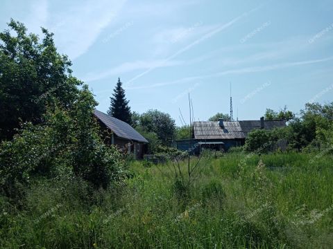 3-komnatnaya-gorod-bogorodsk-bogorodskiy-municipalnyy-okrug фото
