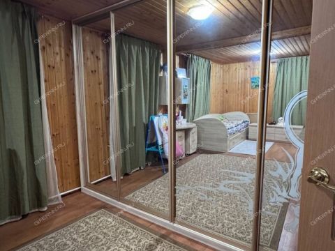 derevnya-demidovo-bogorodskiy-municipalnyy-okrug фото