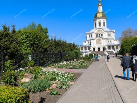 derevnya-maevka-diveevskiy-municipalnyy-okrug фото