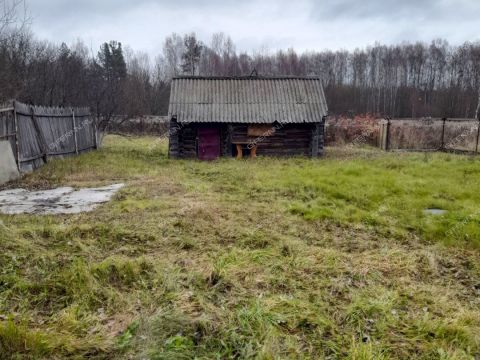 dom-derevnya-hahaly-semenovskiy-gorodskoy-okrug фото