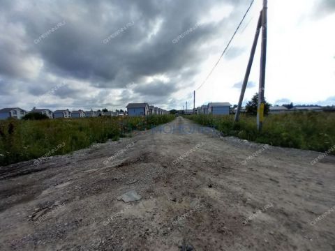 derevnya-prudy-bogorodskiy-municipalnyy-okrug фото