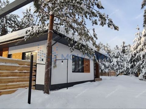 kottedzh-derevnya-ivanovskoe-gorodskoy-okrug-bor фото