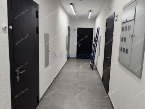 1-komnatnaya-kultura-sp-kstovskiy-rayon фото