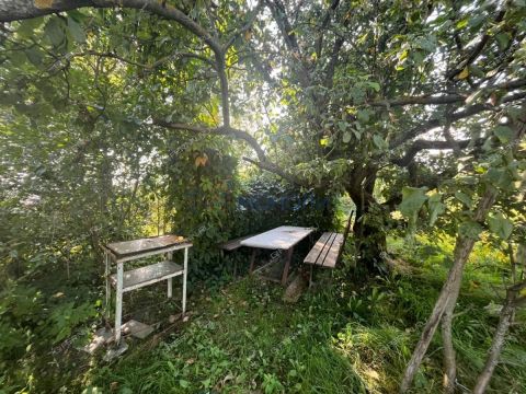 novinskiy-selsovet фото