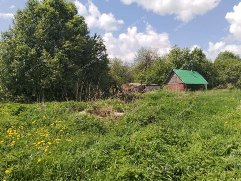 derevnya-kopnino-bogorodskiy-municipalnyy-okrug фото