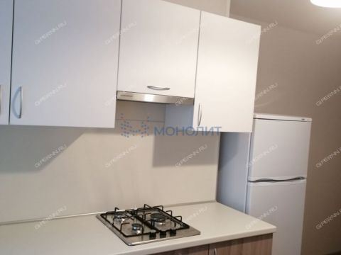 1-komnatnaya-prosp-lenina-d-48d фото