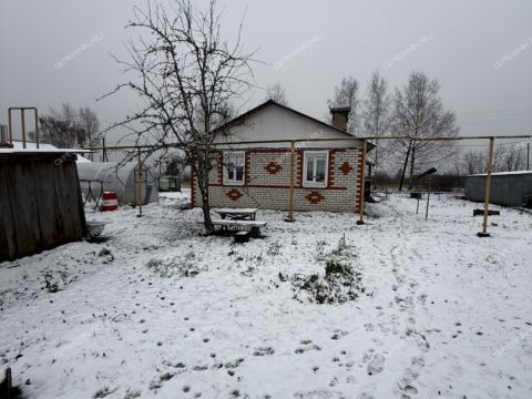 dom-derevnya-chernuha-bolshemurashkinskiy-rayon фото