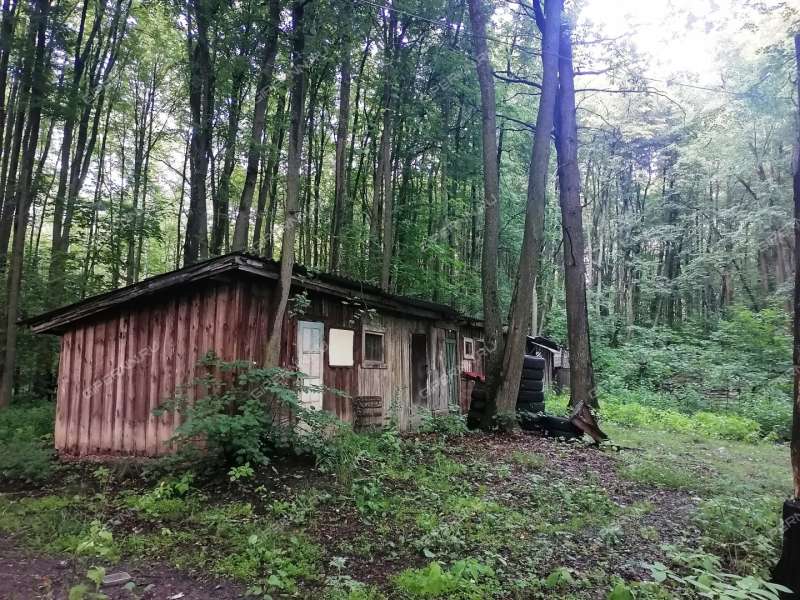 трёхкомнатная квартира в посёлке Санаторий им. ВЦСПС дом 14