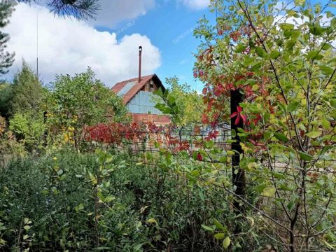 dacha-pamyat-derevnya-hmelevaya-polyana-ter-snt-dalnekonstantinovskiy-rayon фото