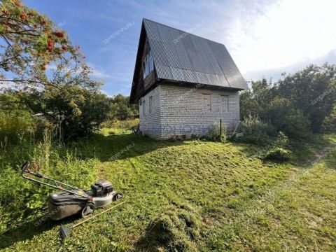 sad-berezhok-derevnya-shoniha-ter-snt-bogorodskiy-municipalnyy-okrug фото