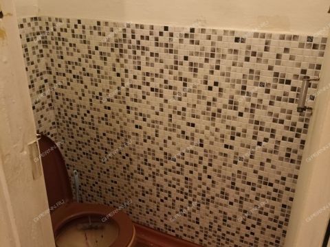 ul-yuliusa-fuchika-d-5 фото