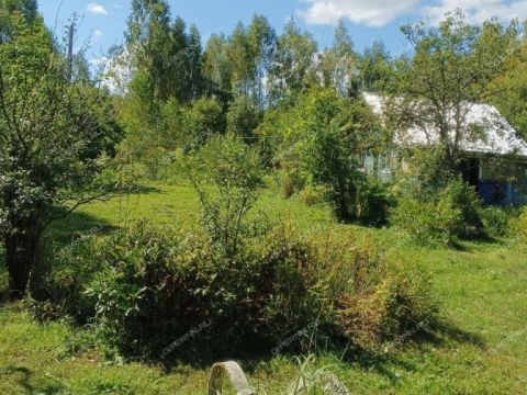 snt-berezka-1-bogorodskiy-municipalnyy-okrug фото