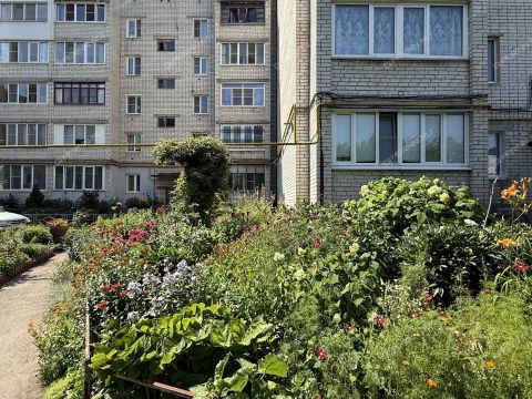 2-komnatnaya-poselok-zhdanovskiy-kstovskiy-rayon фото