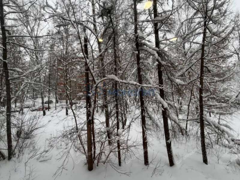 двухкомнатная квартира на проспекте Свердлова дом 33А город Дзержинск