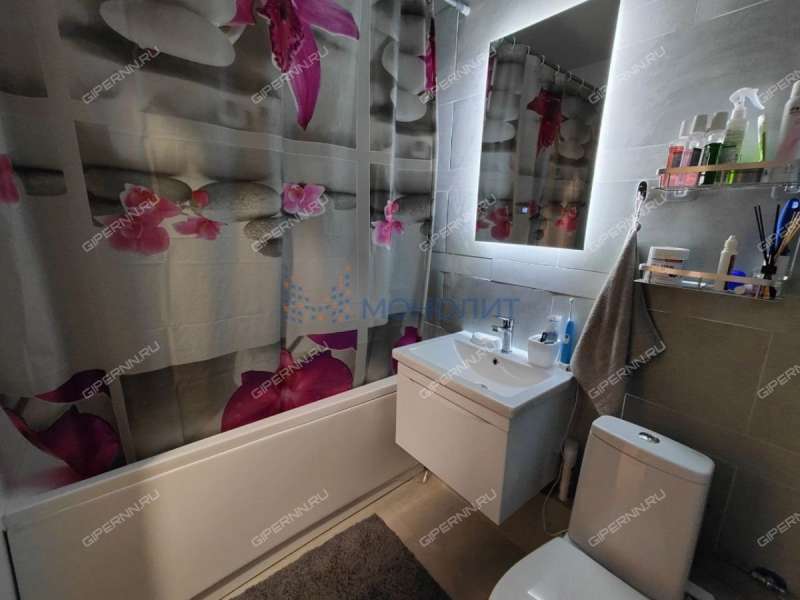 однокомнатная квартира на Черкесской улице дом 2 деревня Анкудиновка